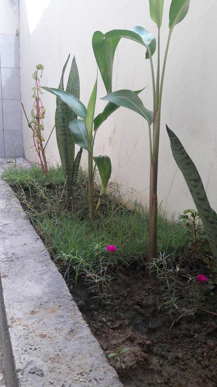 Herry Homestay Kuta  المظهر الخارجي الصورة